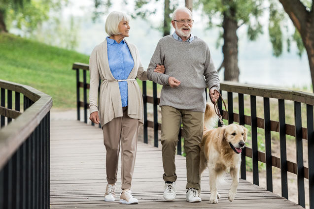 alzheimer-e-parodontite