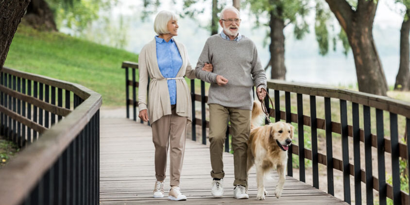 alzheimer-e-parodontite