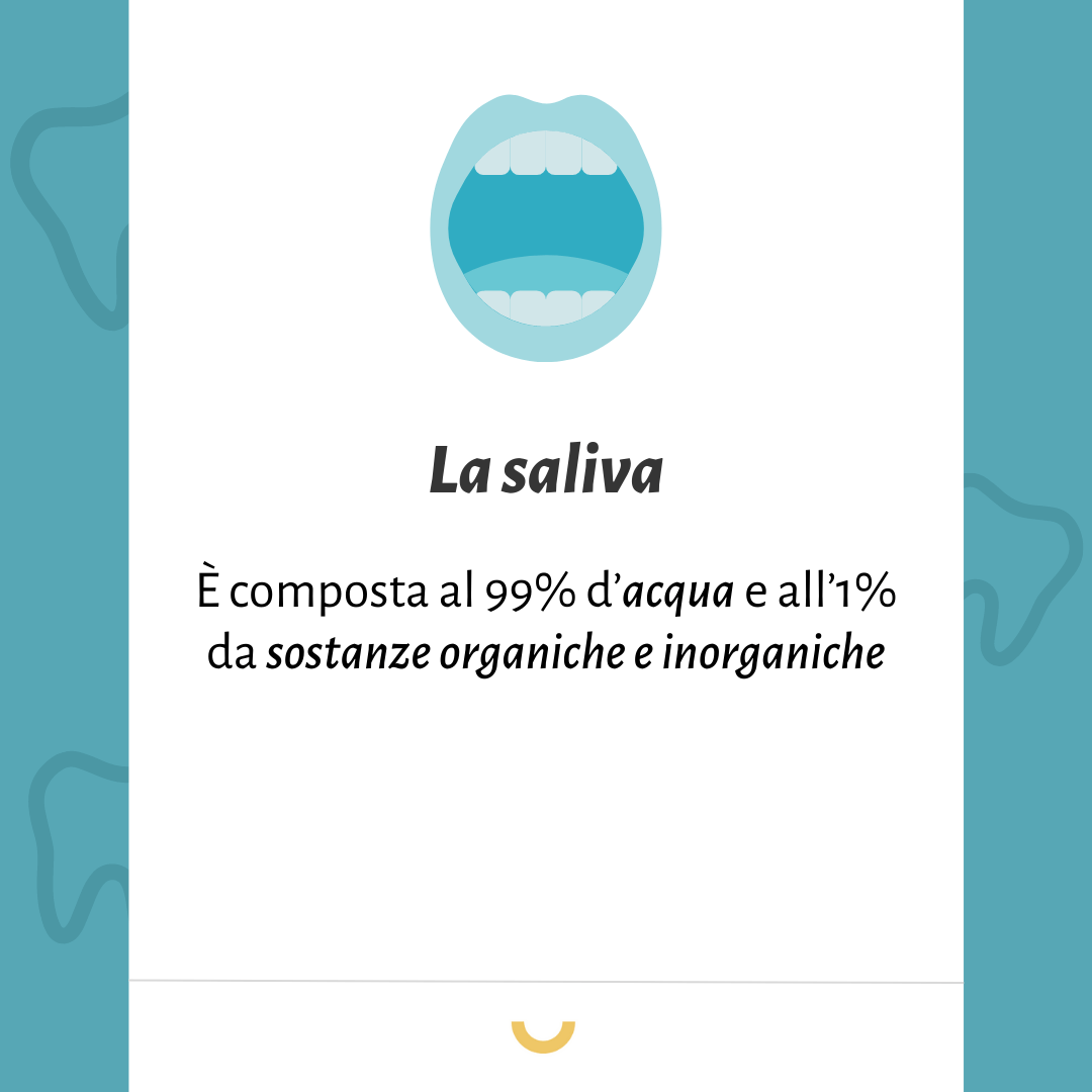 composizione saliva