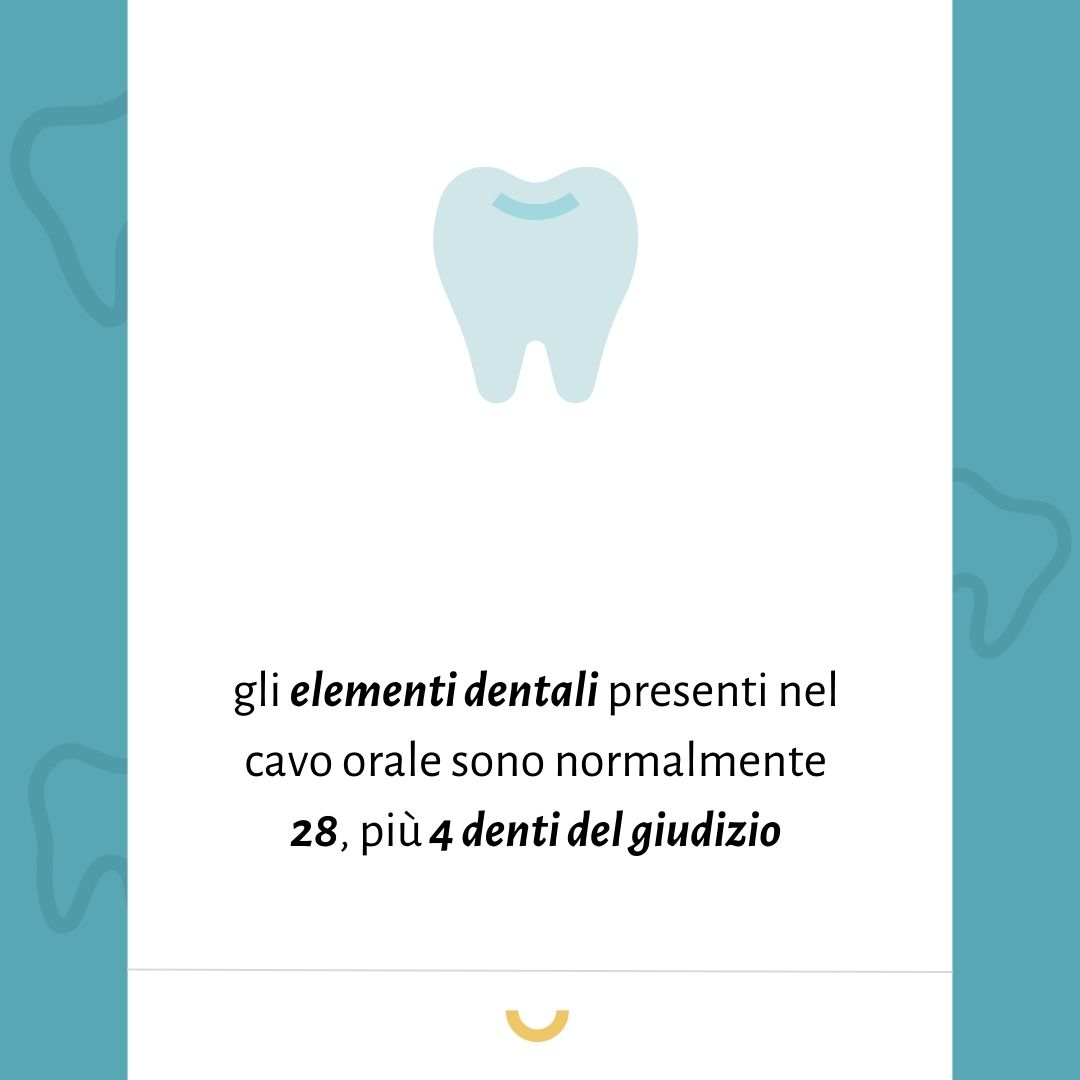 quanti sono i denti