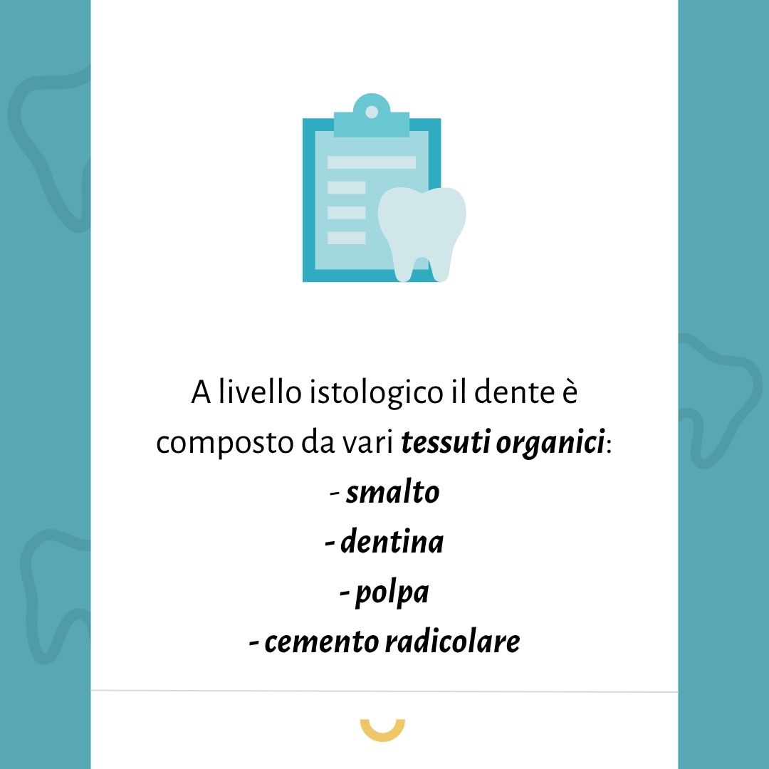composizione dente