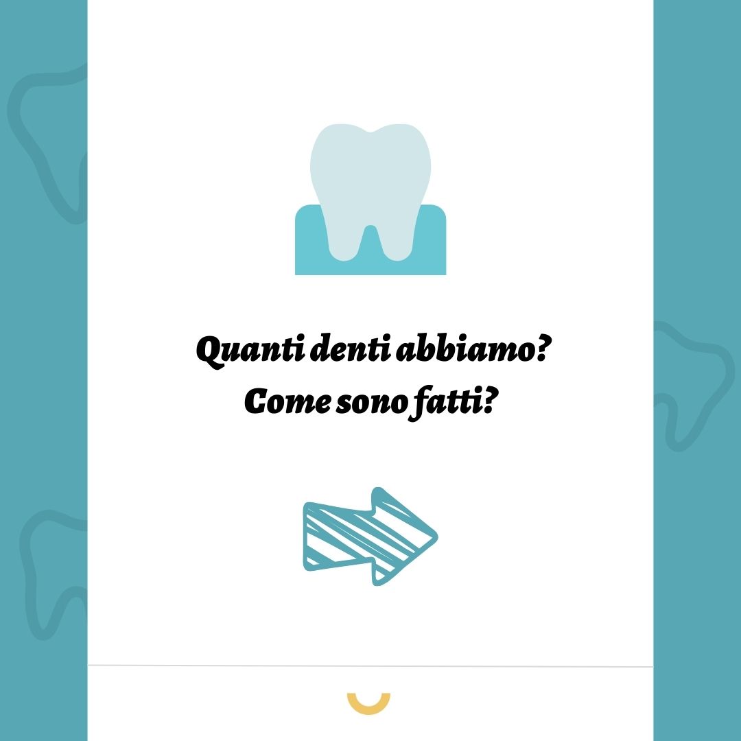 quanti denti abbiamo
